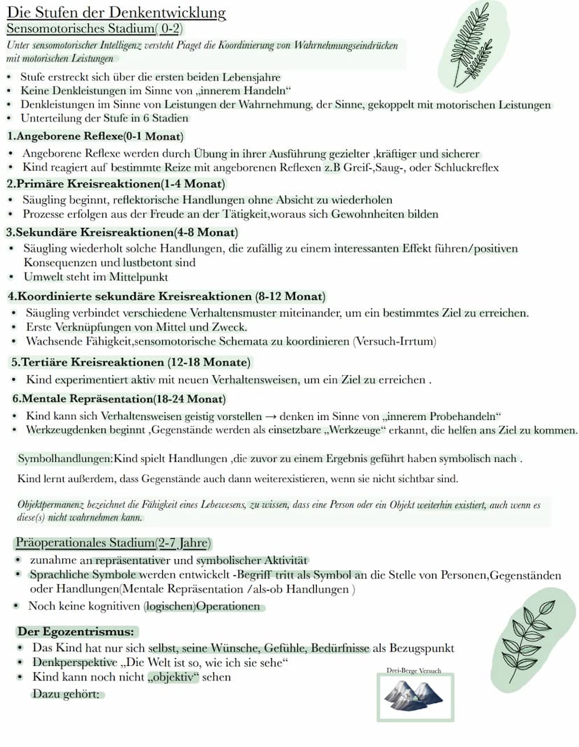 Grundlagen der Entwicklungspsychologie
Die Entwicklungspsychologie der Lebensspanne umfasst folgende Bereiche:
1. Kindes- und Jugendpsycholo
