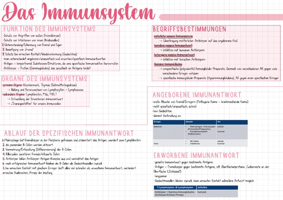 Immunsystem