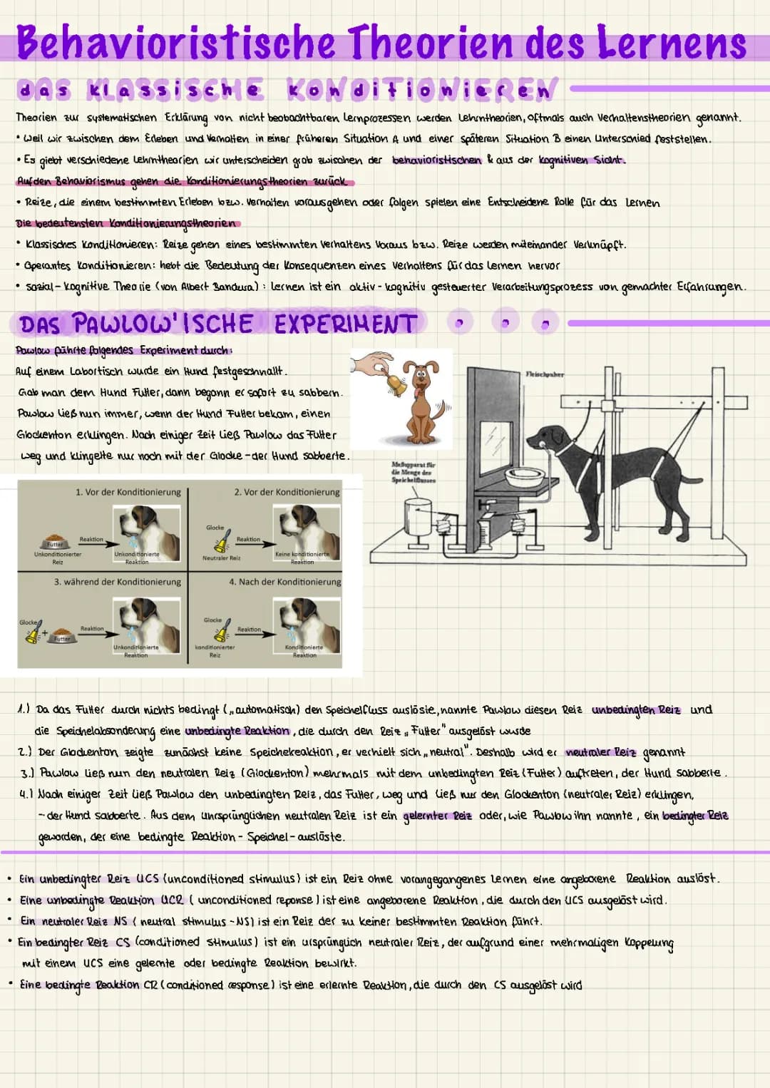 Behavioristische Theorien des Lernens 