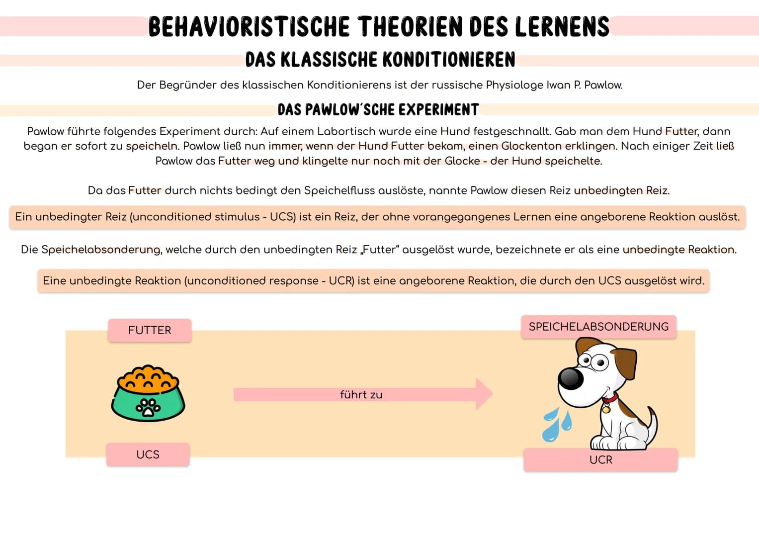 BEHAVIORISTISCHE THEORIEN DES LERNENS
MENSCHENBILD
DAS BEHAVIORISTISCHE MENSCHENBILD
Der Mensch ist ein Wesen, das nahezu ausschließlich von