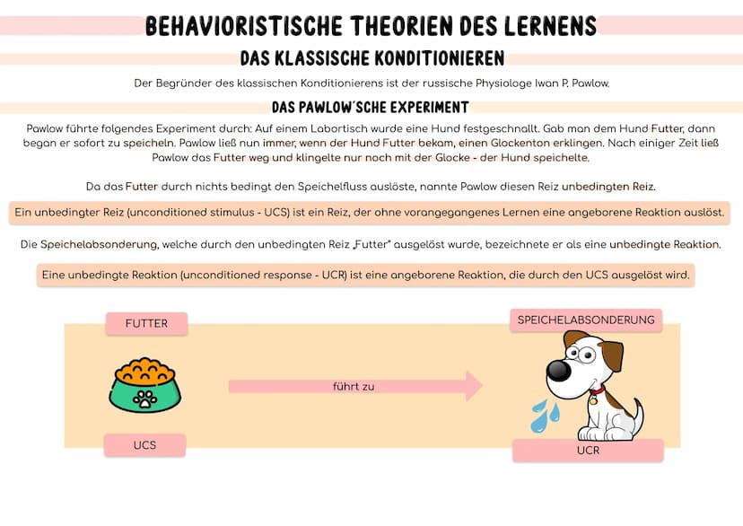 BEHAVIORISTISCHE THEORIEN DES LERNENS
MENSCHENBILD
DAS BEHAVIORISTISCHE MENSCHENBILD
Der Mensch ist ein Wesen, das nahezu ausschließlich von