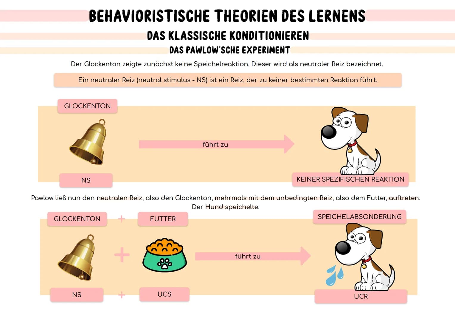 BEHAVIORISTISCHE THEORIEN DES LERNENS
MENSCHENBILD
DAS BEHAVIORISTISCHE MENSCHENBILD
Der Mensch ist ein Wesen, das nahezu ausschließlich von