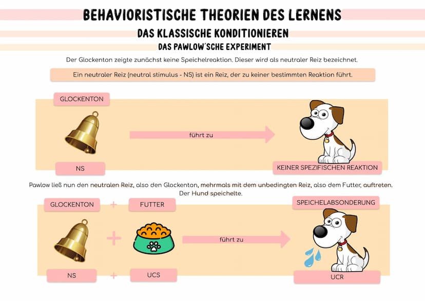BEHAVIORISTISCHE THEORIEN DES LERNENS
MENSCHENBILD
DAS BEHAVIORISTISCHE MENSCHENBILD
Der Mensch ist ein Wesen, das nahezu ausschließlich von