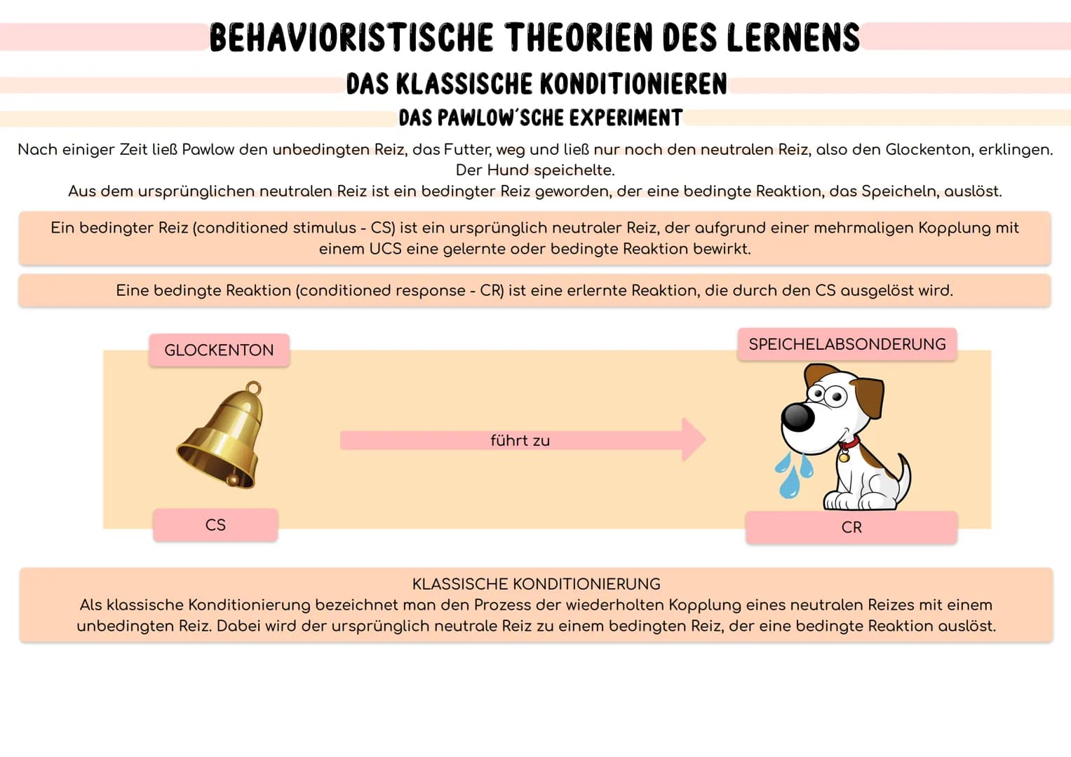 BEHAVIORISTISCHE THEORIEN DES LERNENS
MENSCHENBILD
DAS BEHAVIORISTISCHE MENSCHENBILD
Der Mensch ist ein Wesen, das nahezu ausschließlich von