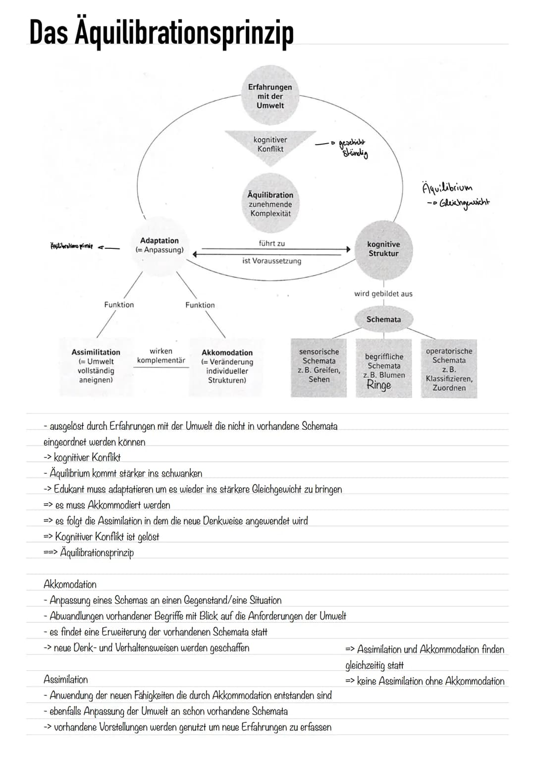
<h2 id="grundannahmen">Grundannahmen</h2>
<p>Die Theorie von Jean Piaget handelt von der kognitiven Entwicklung von Kindern, die durch eine