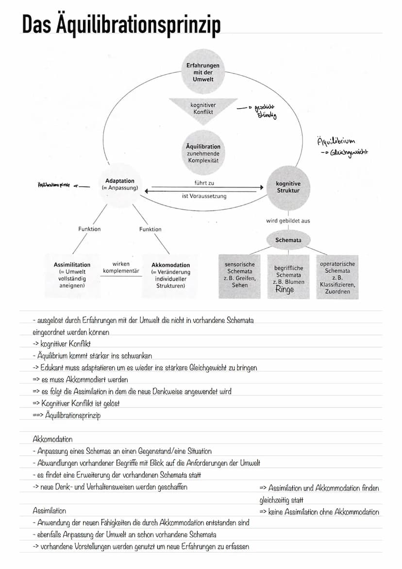 
<h2 id="grundannahmen">Grundannahmen</h2>
<p>Die Theorie von Jean Piaget handelt von der kognitiven Entwicklung von Kindern, die durch eine