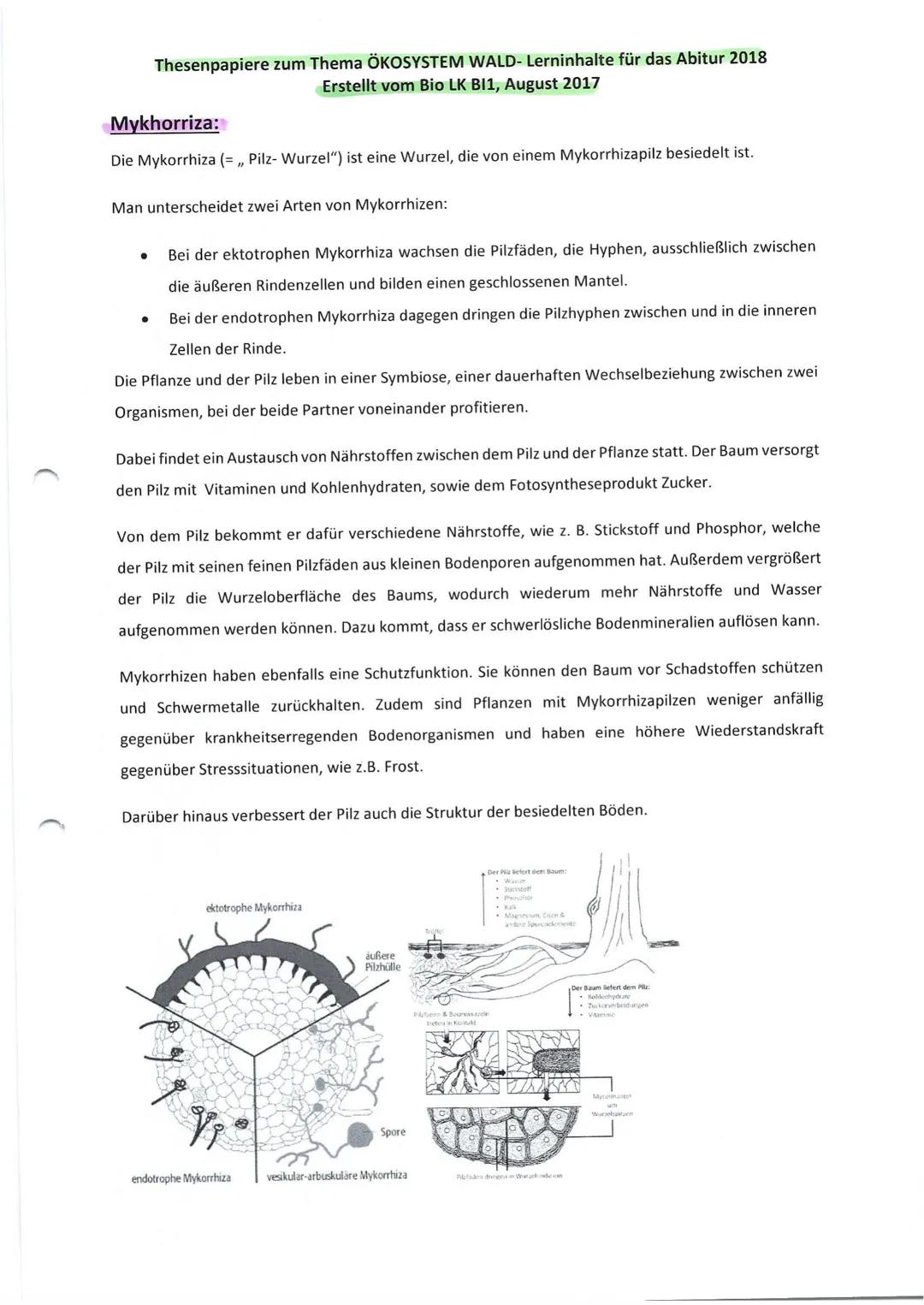 Thesenpapiere zum Thema ÖKOSYSTEM WALD- Lerninhalte für das Abitur 2018
Erstellt vom Bio LK BI1, August 2017
Gruppe 1: Entwicklung und Aufba