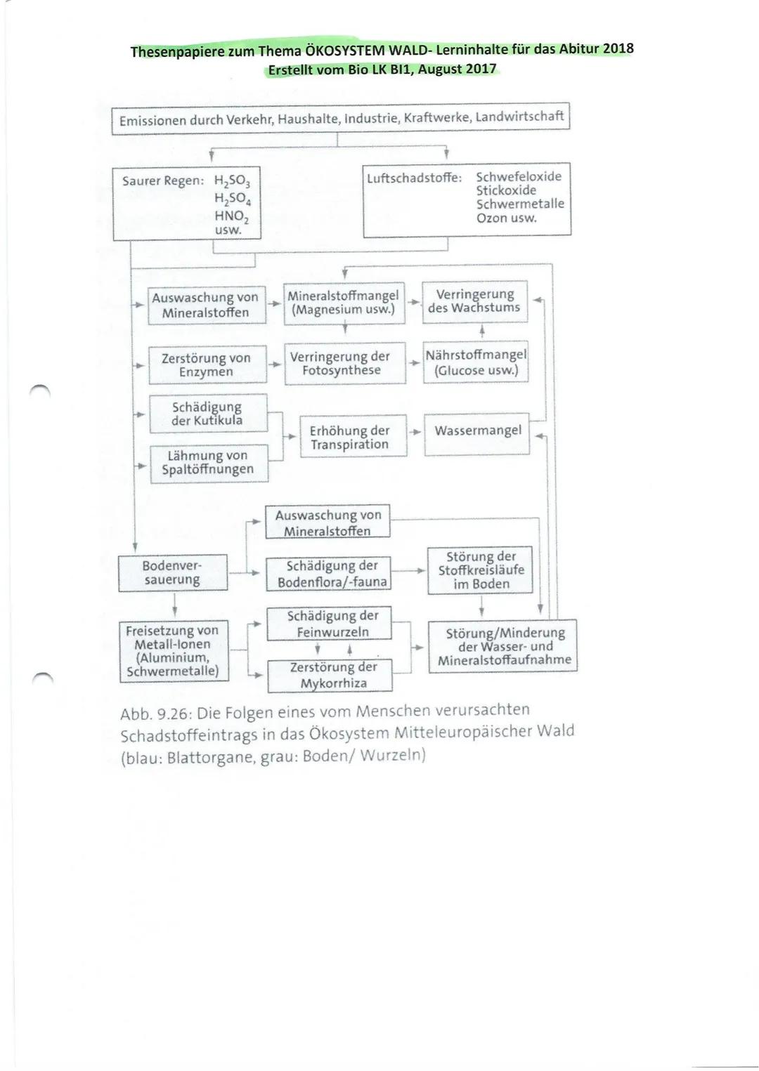 Thesenpapiere zum Thema ÖKOSYSTEM WALD- Lerninhalte für das Abitur 2018
Erstellt vom Bio LK BI1, August 2017
Gruppe 1: Entwicklung und Aufba