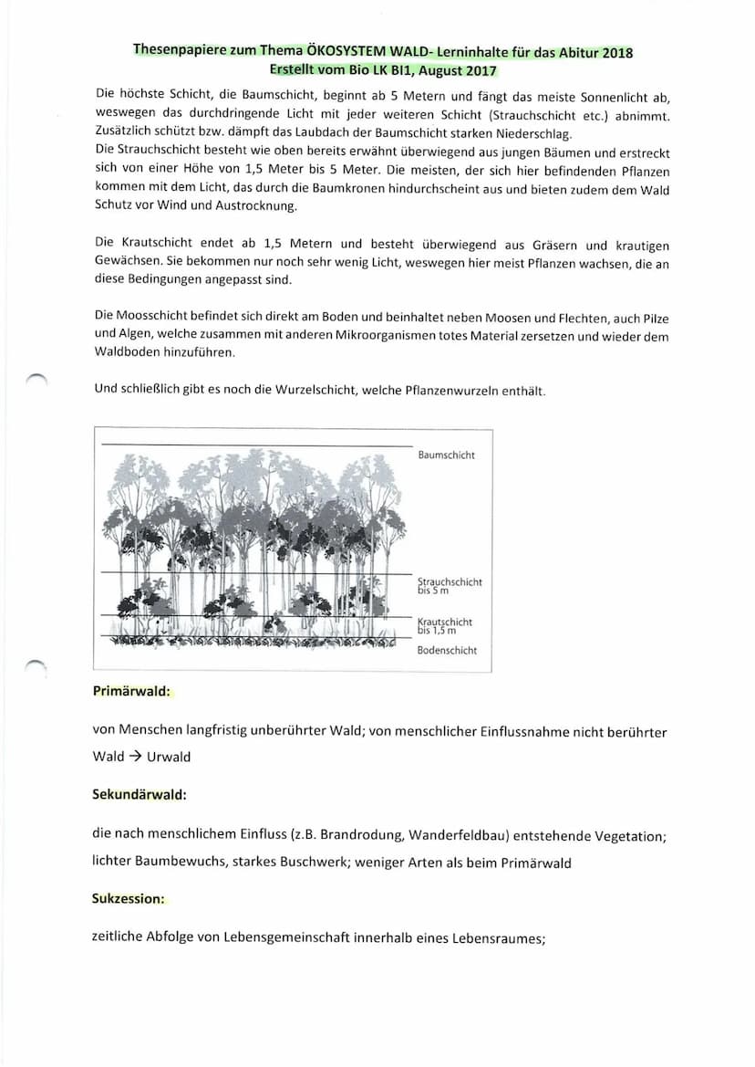Thesenpapiere zum Thema ÖKOSYSTEM WALD- Lerninhalte für das Abitur 2018
Erstellt vom Bio LK BI1, August 2017
Gruppe 1: Entwicklung und Aufba