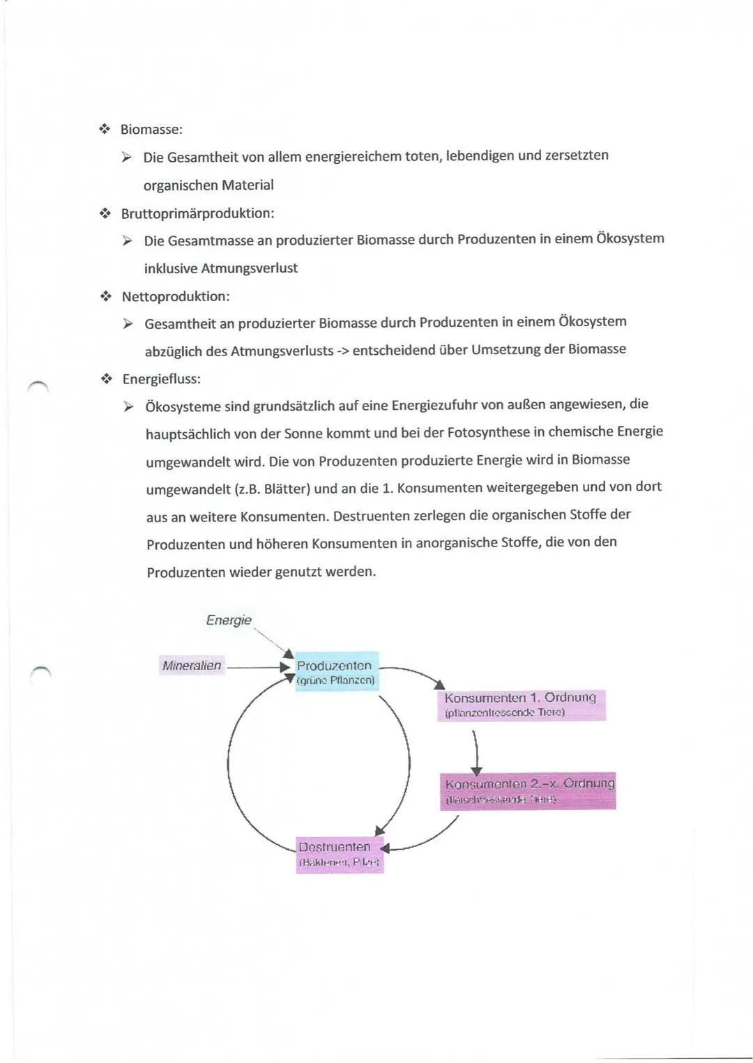 Thesenpapiere zum Thema ÖKOSYSTEM WALD- Lerninhalte für das Abitur 2018
Erstellt vom Bio LK BI1, August 2017
Gruppe 1: Entwicklung und Aufba