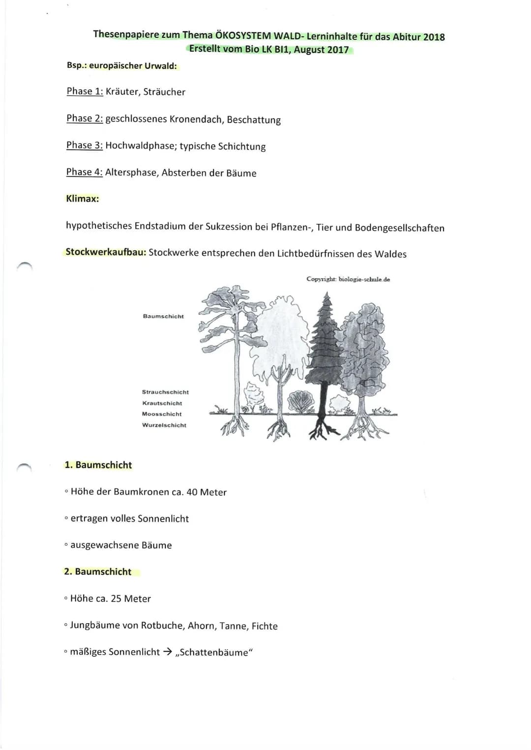 Thesenpapiere zum Thema ÖKOSYSTEM WALD- Lerninhalte für das Abitur 2018
Erstellt vom Bio LK BI1, August 2017
Gruppe 1: Entwicklung und Aufba