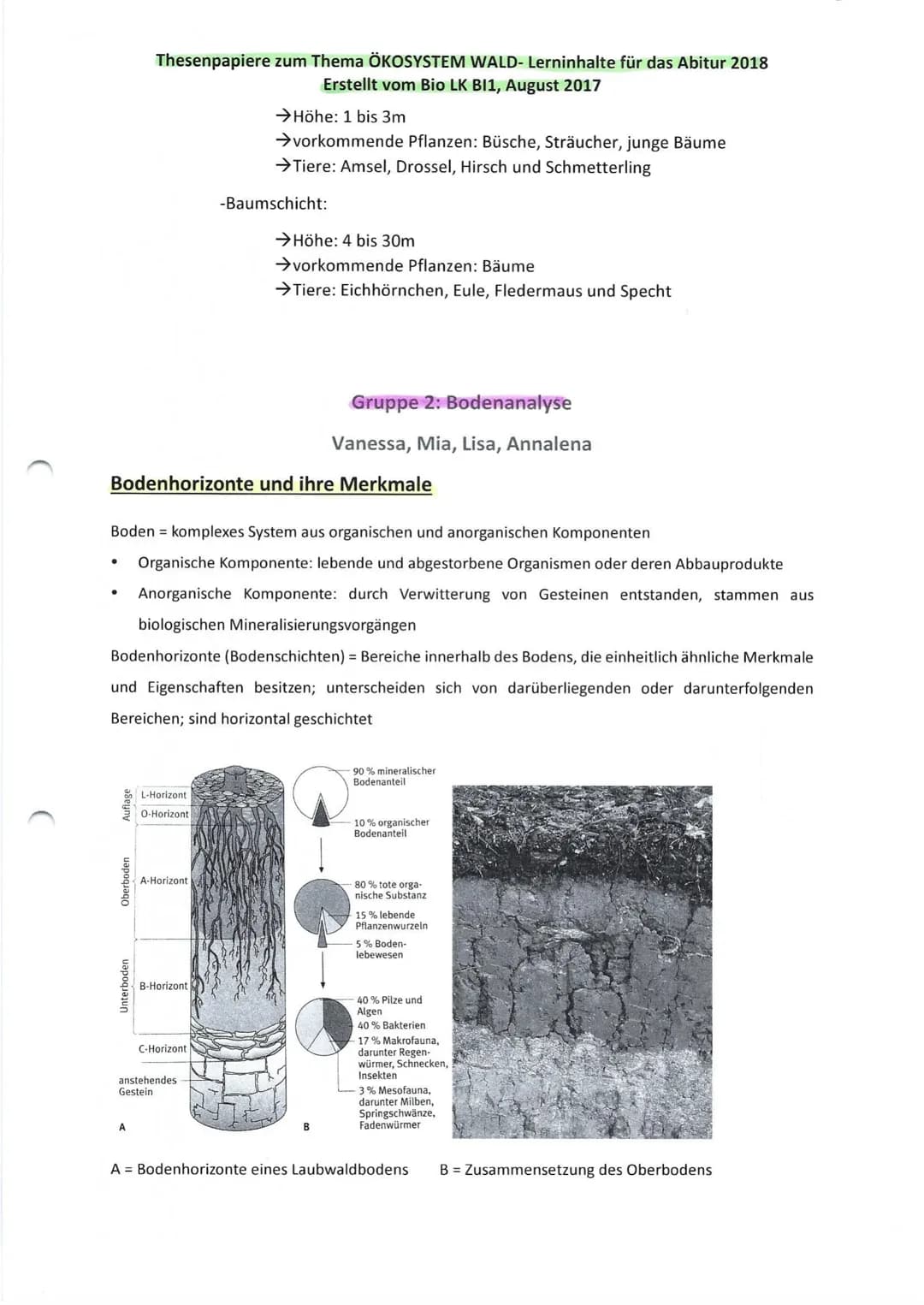 Thesenpapiere zum Thema ÖKOSYSTEM WALD- Lerninhalte für das Abitur 2018
Erstellt vom Bio LK BI1, August 2017
Gruppe 1: Entwicklung und Aufba