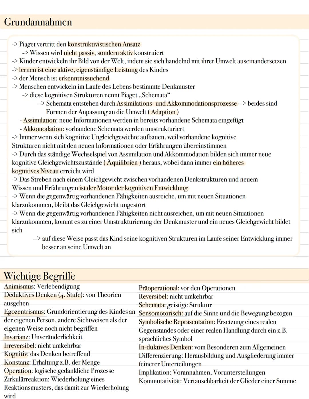 Piaget Grundannahmen
-> Piaget vertritt den konstruktivistischen Ansatz
-> Wissen wird nicht passiv, sondern aktiv konstruiert
-> Kinder ent