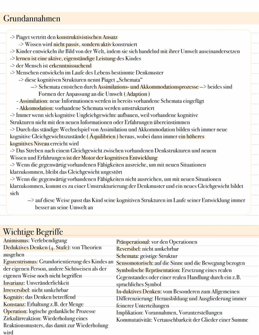 Piaget Grundannahmen
-> Piaget vertritt den konstruktivistischen Ansatz
-> Wissen wird nicht passiv, sondern aktiv konstruiert
-> Kinder ent