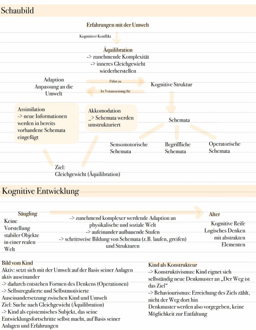 Piaget Grundannahmen
-> Piaget vertritt den konstruktivistischen Ansatz
-> Wissen wird nicht passiv, sondern aktiv konstruiert
-> Kinder ent