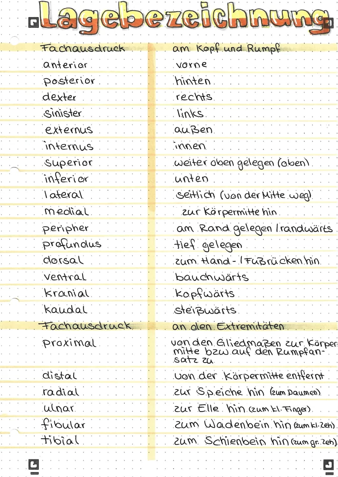 .
..
.
.
'
.
.
.
.
.
.
.
.
.
.
.
.
'
.
.
.
.
.
.
.
-Lagebezeichnung
am Kopf und Rumpf
vorne
hinten.
rechts
links:
außen.
innen
weiter oben g