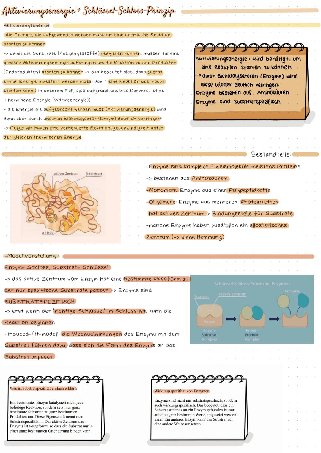 Adenosintriphosphat
999
99999
ATP=. Chemischer Stoff; kommt in allen zellen eines Lebewesens vor
•Stellt Energie für alle Prozesse in der ze