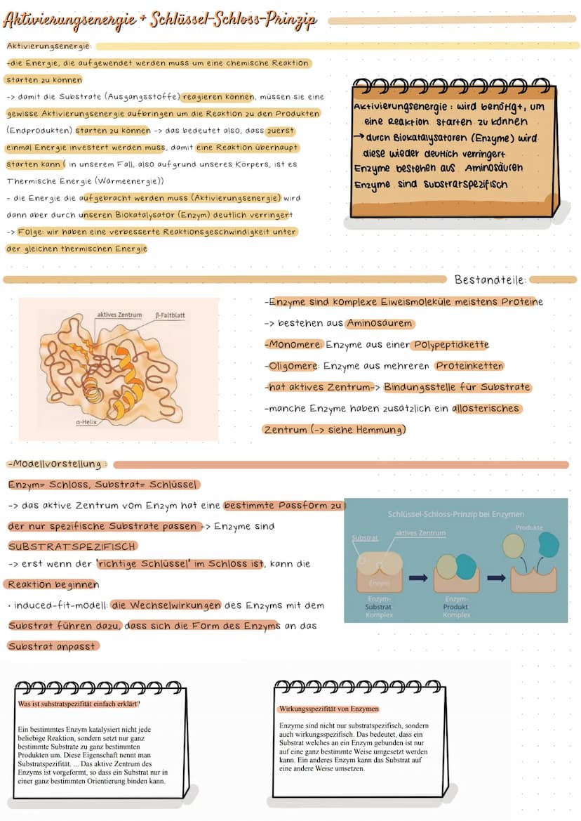 Adenosintriphosphat
999
99999
ATP=. Chemischer Stoff; kommt in allen zellen eines Lebewesens vor
•Stellt Energie für alle Prozesse in der ze