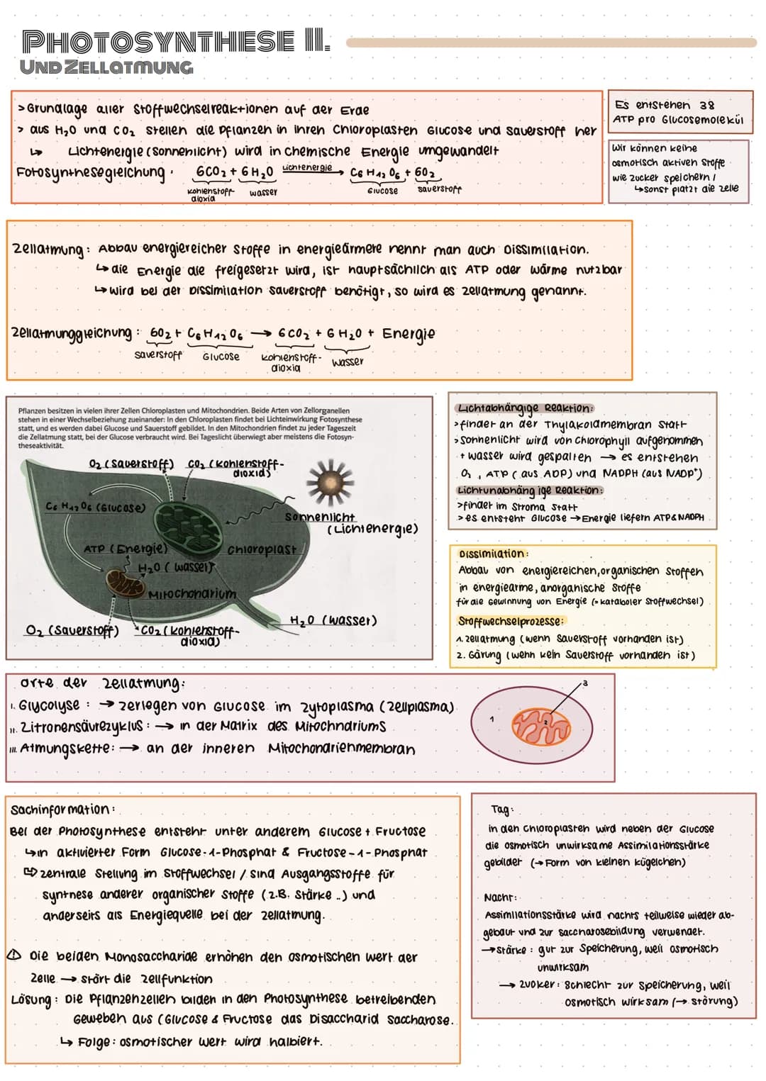 Adenosintriphosphat
999
99999
ATP=. Chemischer Stoff; kommt in allen zellen eines Lebewesens vor
•Stellt Energie für alle Prozesse in der ze