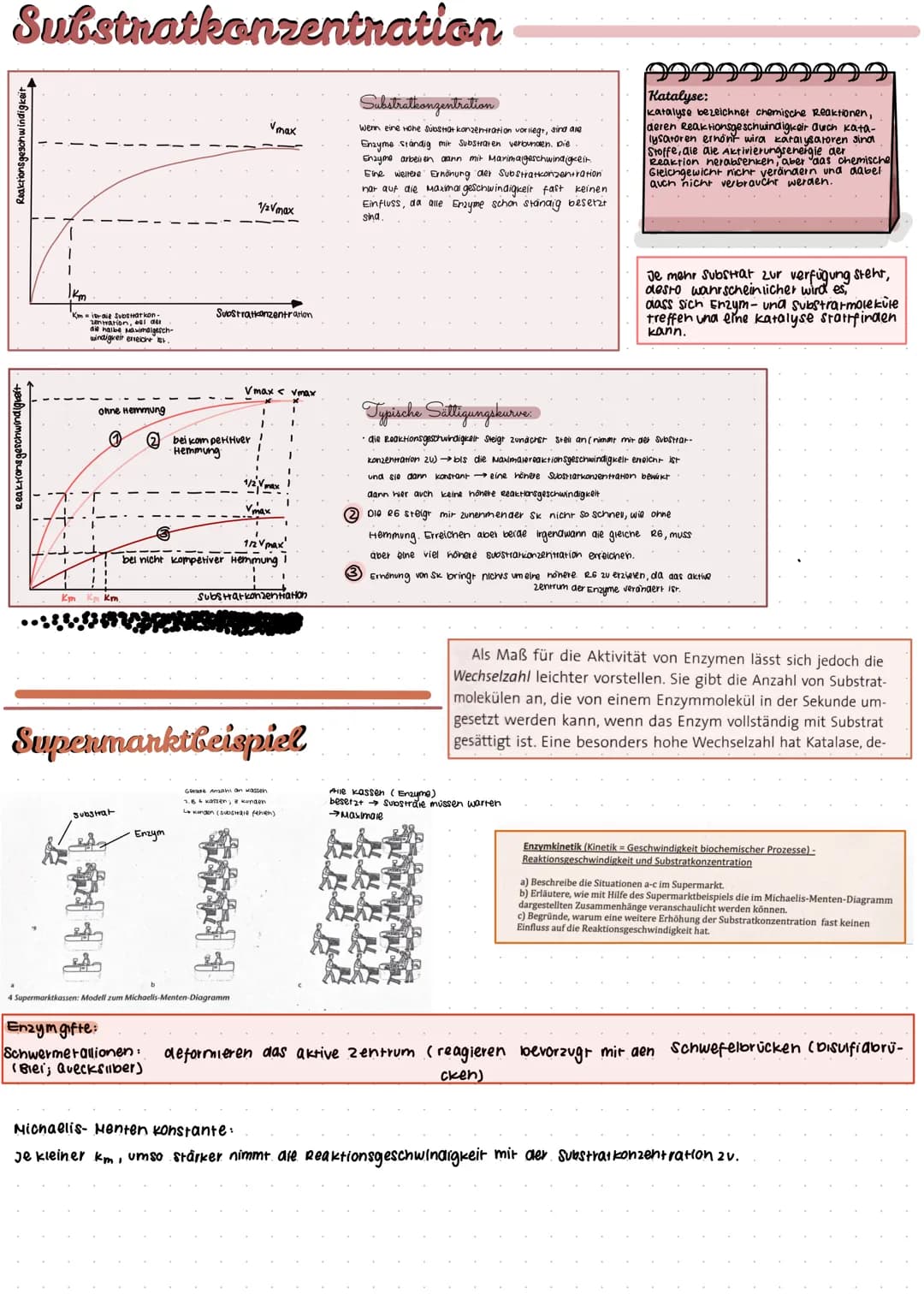 Adenosintriphosphat
999
99999
ATP=. Chemischer Stoff; kommt in allen zellen eines Lebewesens vor
•Stellt Energie für alle Prozesse in der ze