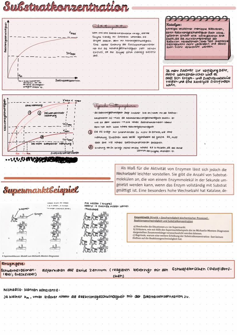 Adenosintriphosphat
999
99999
ATP=. Chemischer Stoff; kommt in allen zellen eines Lebewesens vor
•Stellt Energie für alle Prozesse in der ze