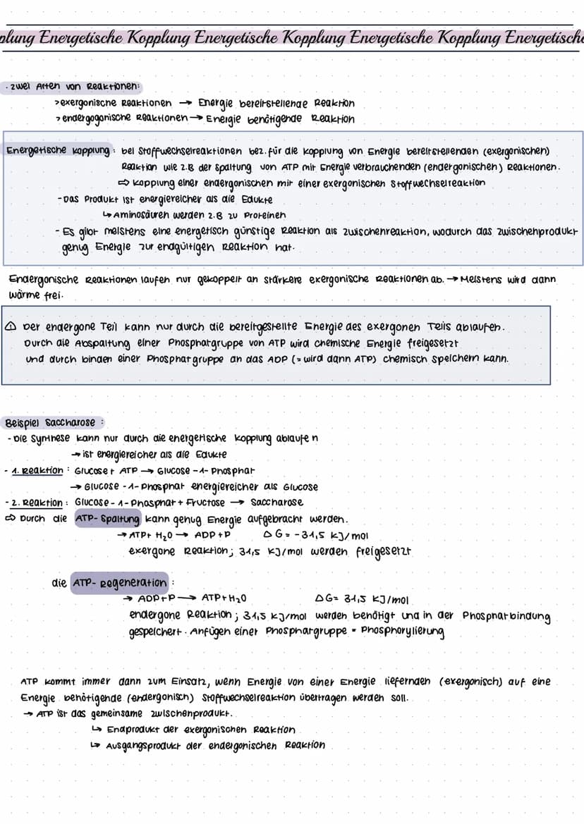 Adenosintriphosphat
999
99999
ATP=. Chemischer Stoff; kommt in allen zellen eines Lebewesens vor
•Stellt Energie für alle Prozesse in der ze