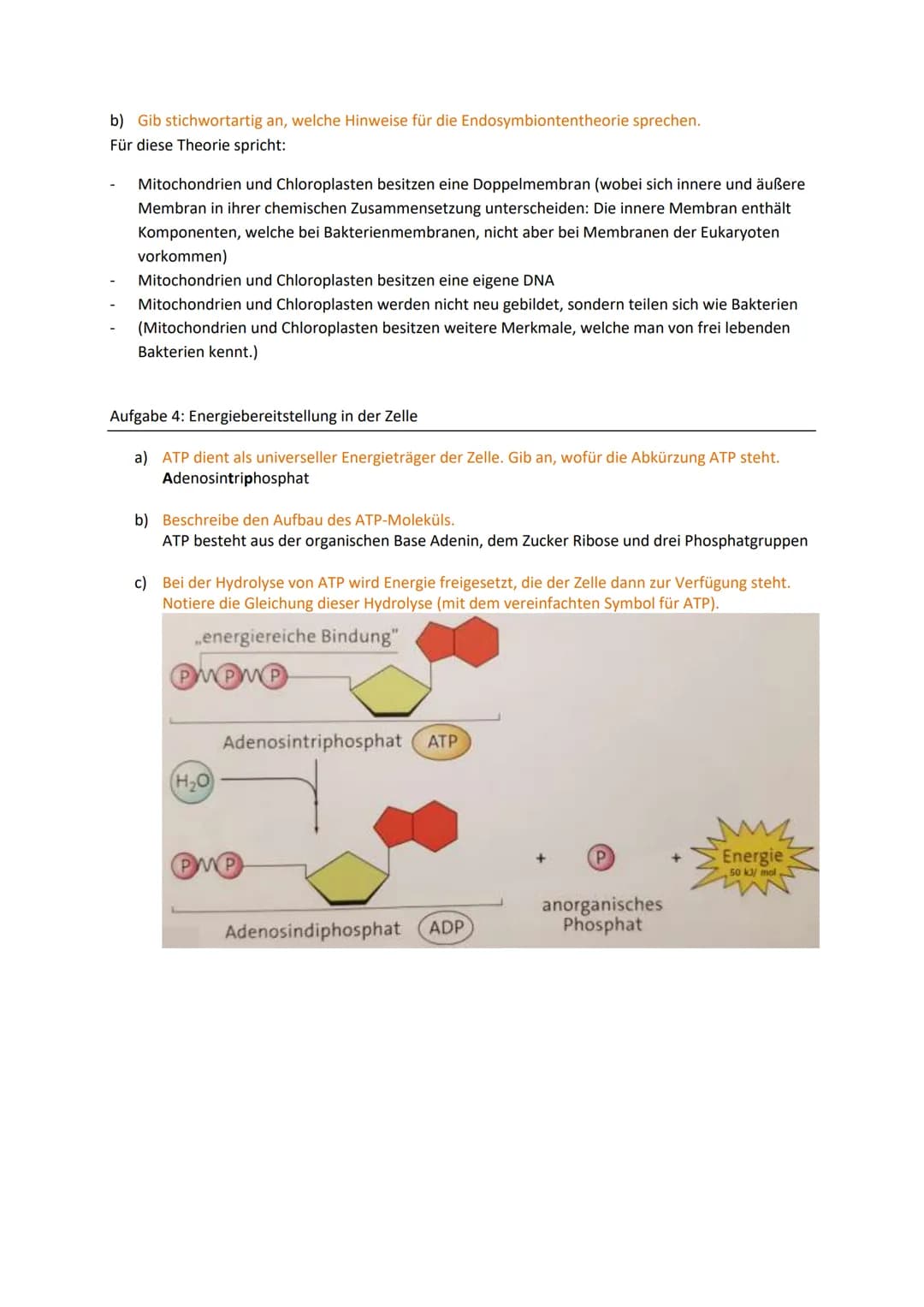 Zellbiologie
Aufgabe 1: Feinbau der Zellen
Gib an, welche Organellen von 2 Membranen umgeben werden.
Mitochondrien, Chloroplasten, (Zellkern