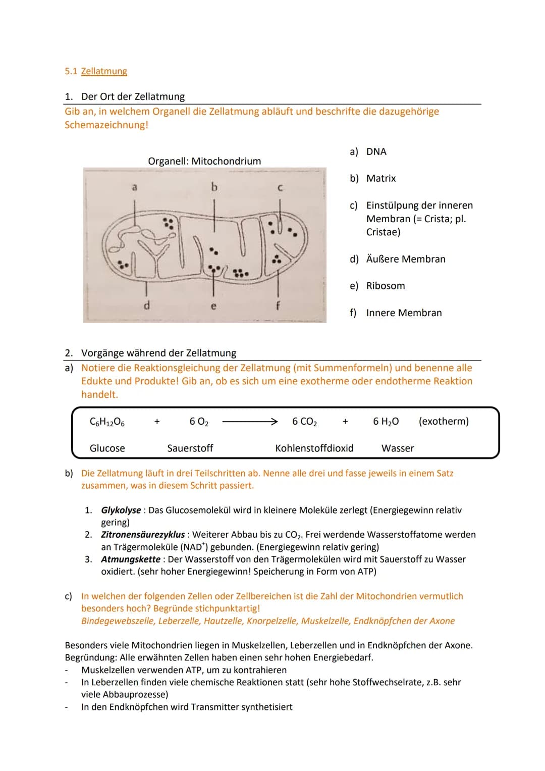 Zellbiologie
Aufgabe 1: Feinbau der Zellen
Gib an, welche Organellen von 2 Membranen umgeben werden.
Mitochondrien, Chloroplasten, (Zellkern