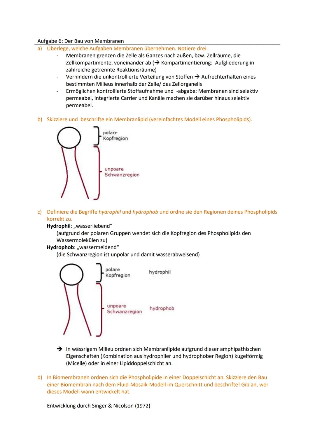 Zellbiologie
Aufgabe 1: Feinbau der Zellen
Gib an, welche Organellen von 2 Membranen umgeben werden.
Mitochondrien, Chloroplasten, (Zellkern