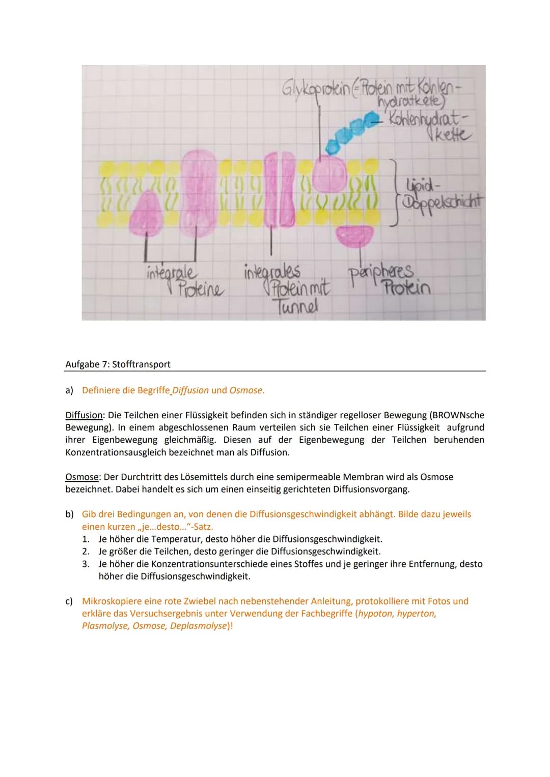Zellbiologie
Aufgabe 1: Feinbau der Zellen
Gib an, welche Organellen von 2 Membranen umgeben werden.
Mitochondrien, Chloroplasten, (Zellkern
