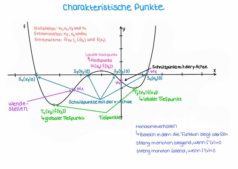 Themen-Analysis
A. ganzrationale Funktionen
2. Charakteristische Punkte
3. Globalverhalten
4. Globalverlauf
5. Nullstellen von ganzrationale