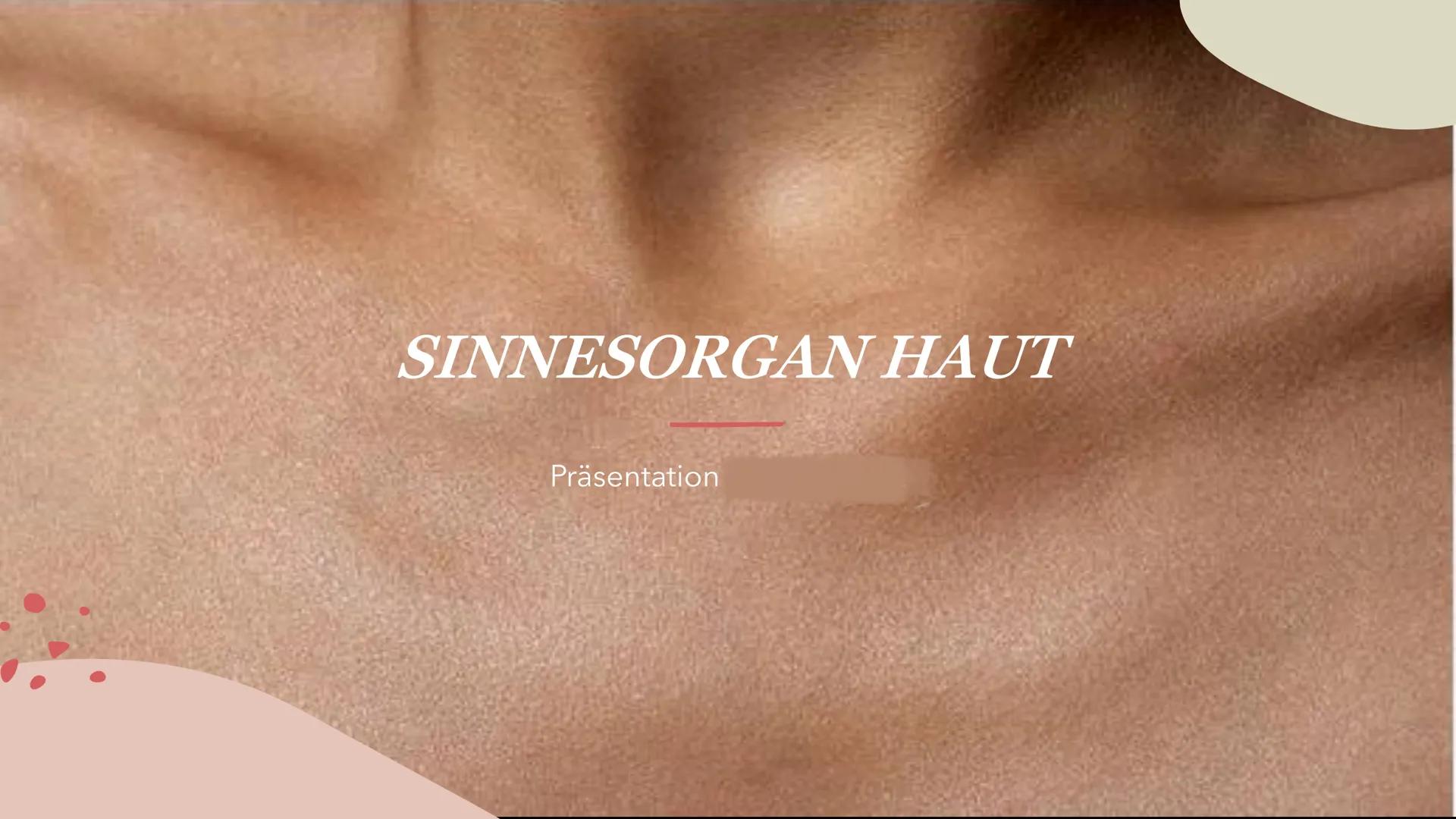 SINNESORGAN HAUT
Präsentation INHALTSVERZEICHNIS
Bau
- äußerer Bau
- innerer Bau INHALTSVERZEICHNIS
Bau
- äußerer Bau
- innerer Bau
Funktio-