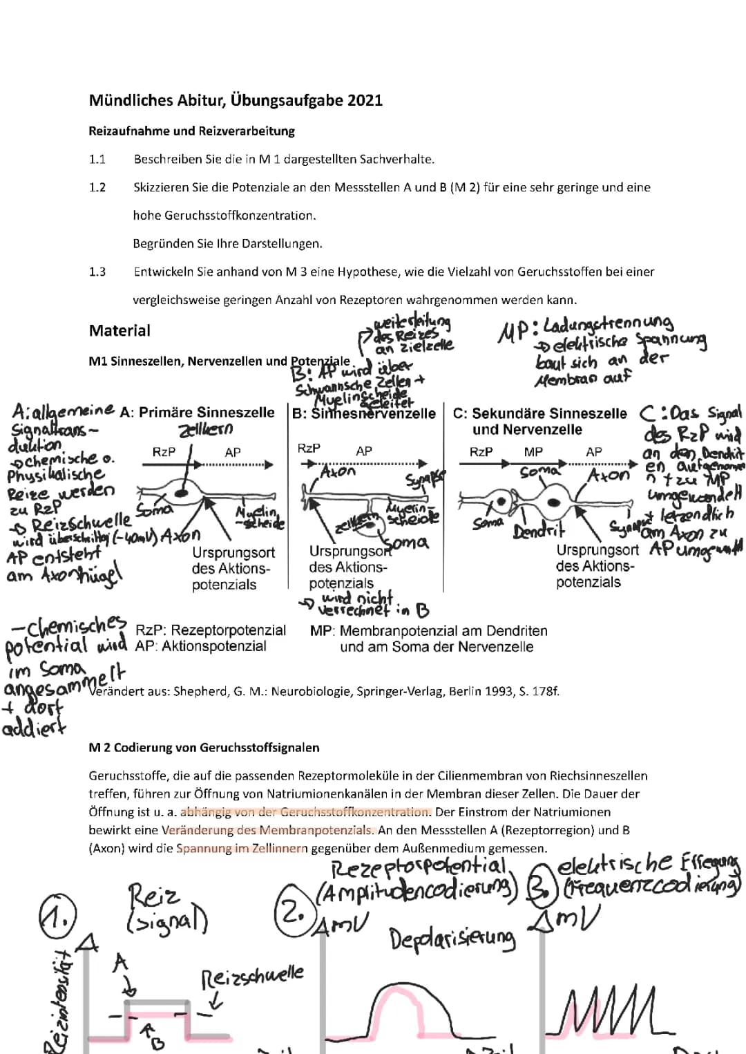 Mündliche Prüfung Biologie Abitur Beispielaufgaben und Lösungen PDF - Genetik, Evolution, Ökologie, Neurobiologie