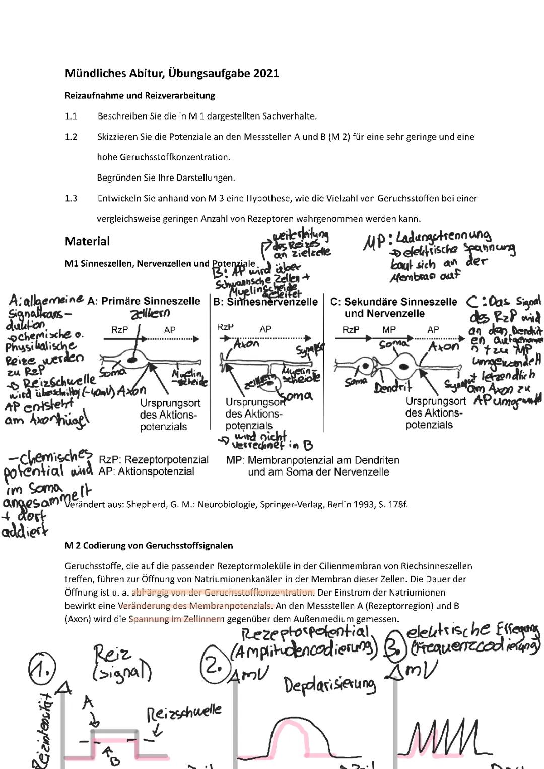 Mündliche Prüfung Biologie Abitur Beispielaufgaben und Lösungen PDF - Genetik, Evolution, Ökologie, Neurobiologie