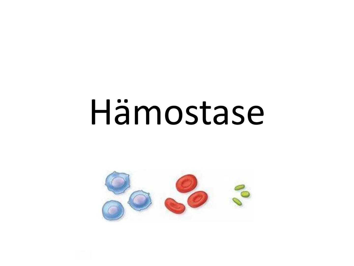 # Hämostase # Inhaltsverzeichnis

*   Was ist Hämostase?
*   Primäre Hämostase
    *   Thrombozytenaggregation
*   Sekundäre Hämostase
    *