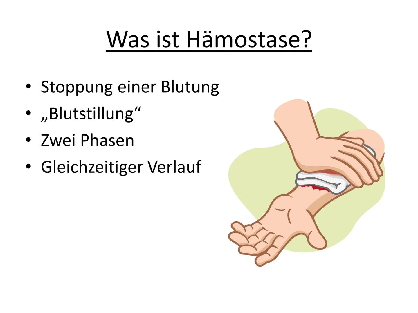 # Hämostase # Inhaltsverzeichnis

*   Was ist Hämostase?
*   Primäre Hämostase
    *   Thrombozytenaggregation
*   Sekundäre Hämostase
    *