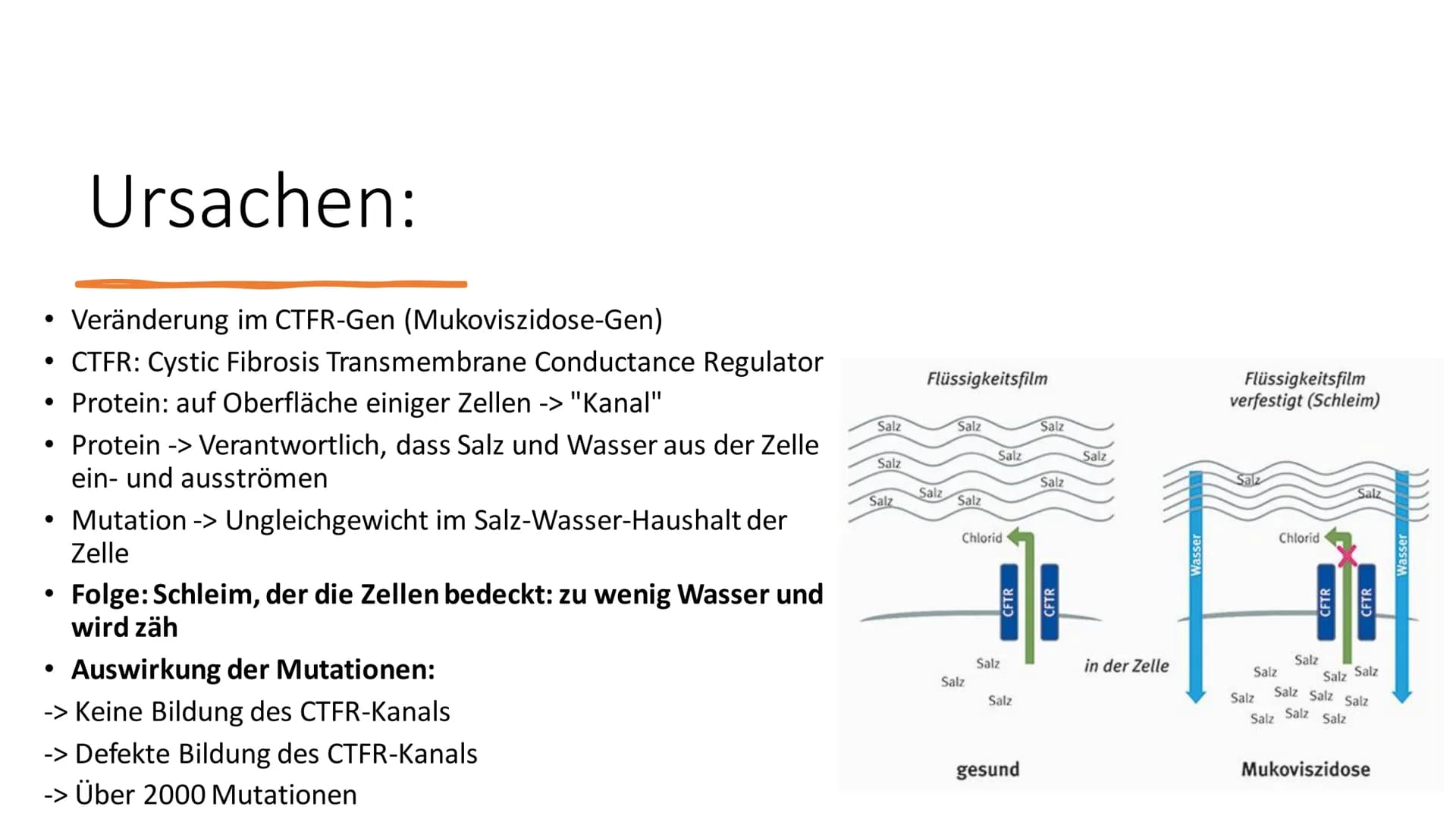 Mukoviszidose
Biologie 12.2 Inhalt
●
●
Ursachen
• Genetische Vererbung
• Betroffene Organe und Anzeichen einer
Erkrankung
Diagnostik
●
Allge