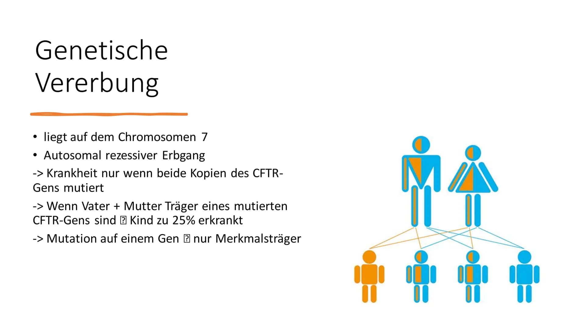 Mukoviszidose
Biologie 12.2 Inhalt
●
●
Ursachen
• Genetische Vererbung
• Betroffene Organe und Anzeichen einer
Erkrankung
Diagnostik
●
Allge