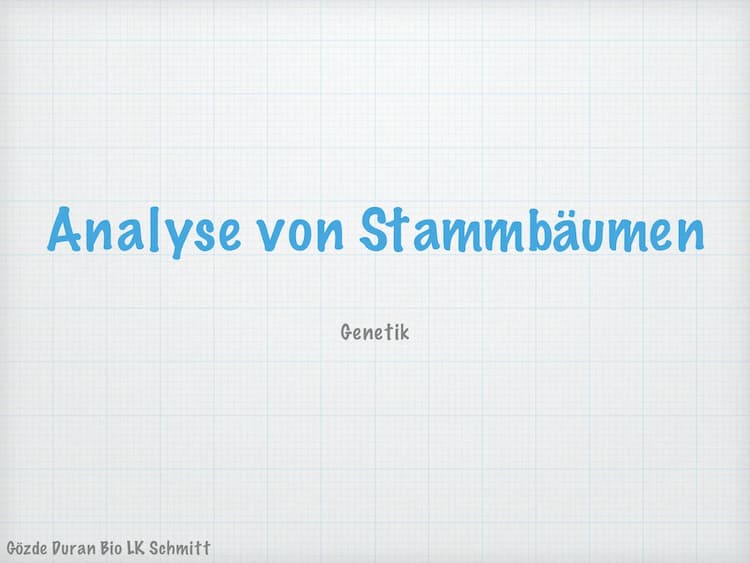 Know Analyse von Stammbäumen  thumbnail