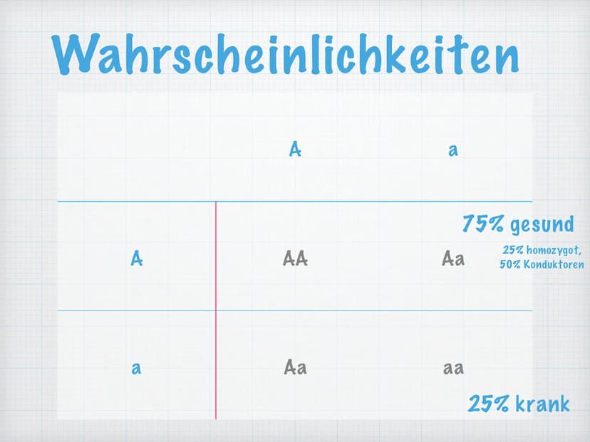 Analyse von Stammbäumen
Gözde Duran Bio LK Schmitt
Genetik Inhaltsverzeichnis
Symbolik und Fachbegriffe
● Erbgänge -> autosomal und gonosoma