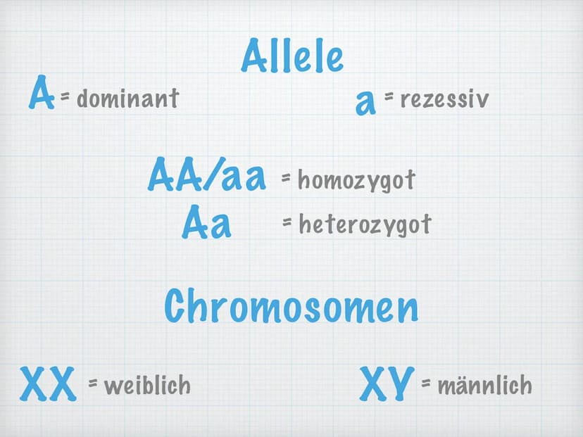 Analyse von Stammbäumen
Gözde Duran Bio LK Schmitt
Genetik Inhaltsverzeichnis
Symbolik und Fachbegriffe
● Erbgänge -> autosomal und gonosoma