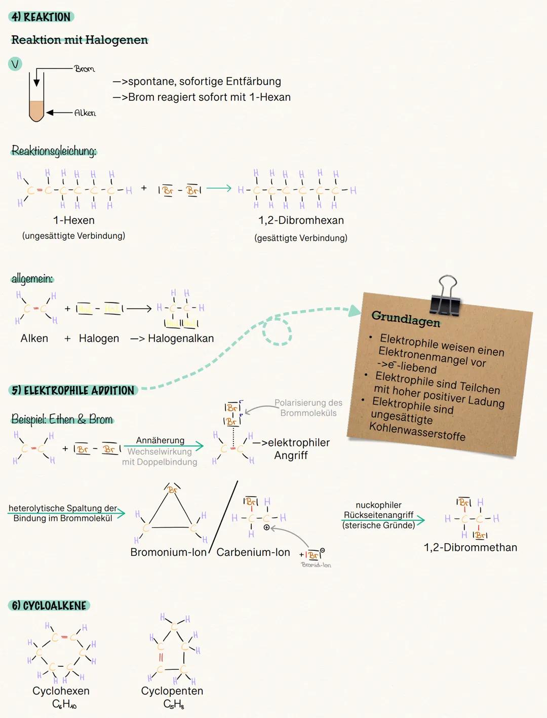Alkene
-> ungesättigte Kohlenwasserstoffe mit einer C-C-Doppelbindung
(1) HOMOLOGE REIHE
ausführliche
Strukturformel
Name
Ethen H
Propen
But