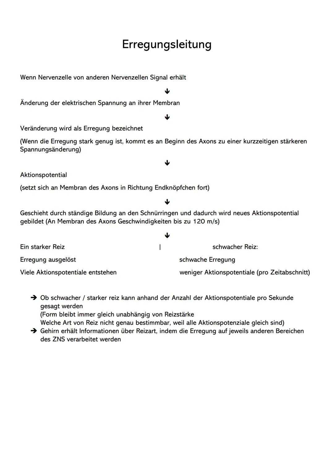 Zellkörper/Soma Zellkern
Zellkörper wichtig für
Stoffwechsel
pyramiden/kreisförmig
abzweigende Fortsätze
Dendriten oder Axone
enthält die me