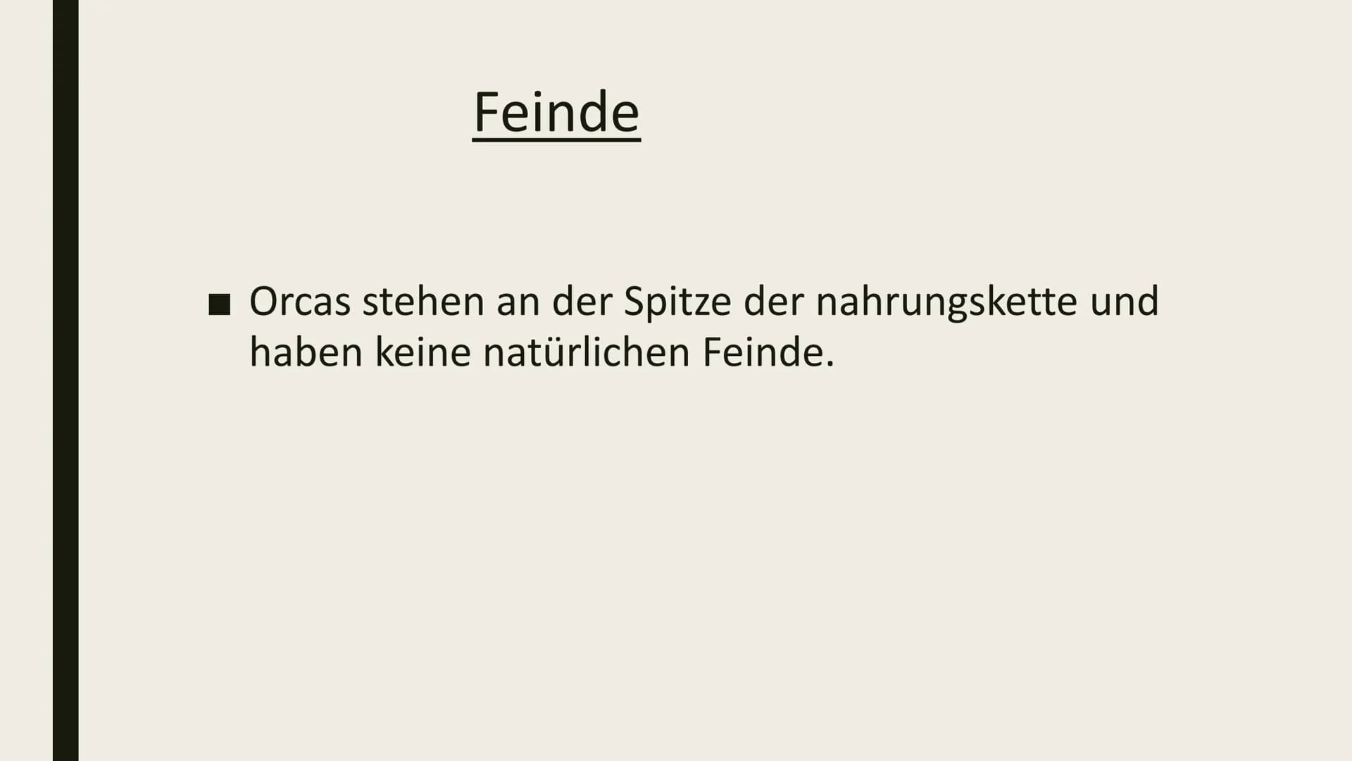 DIE ORCA Inhaltsverzeichnis
■ Gewicht/länge
Feinde
■Wie laut sie sind/wie tief sie tauchen
■ Wo sie leben/was sie essen
■ Schwangerschaft Ge