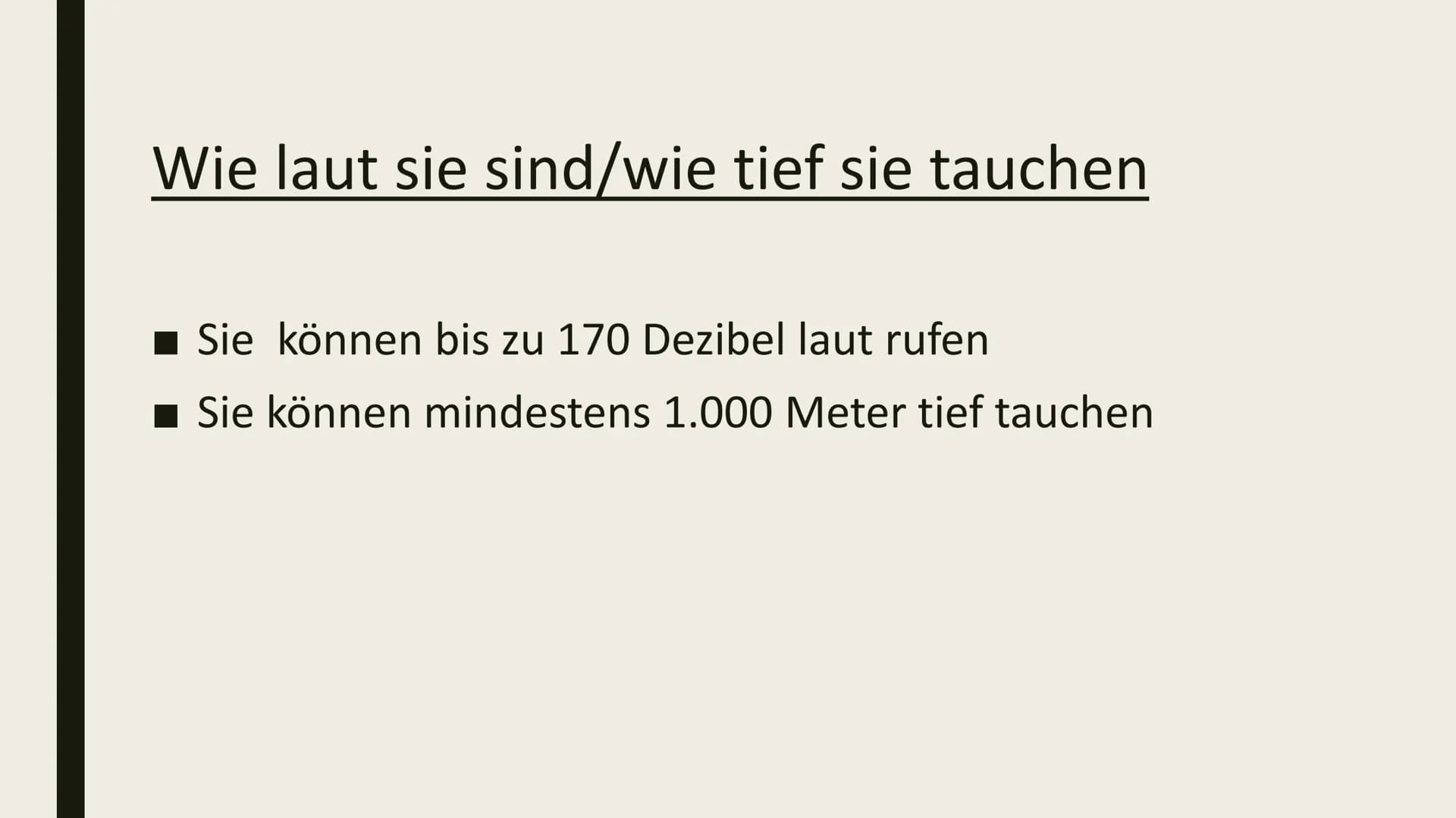 DIE ORCA Inhaltsverzeichnis
■ Gewicht/länge
Feinde
■Wie laut sie sind/wie tief sie tauchen
■ Wo sie leben/was sie essen
■ Schwangerschaft Ge