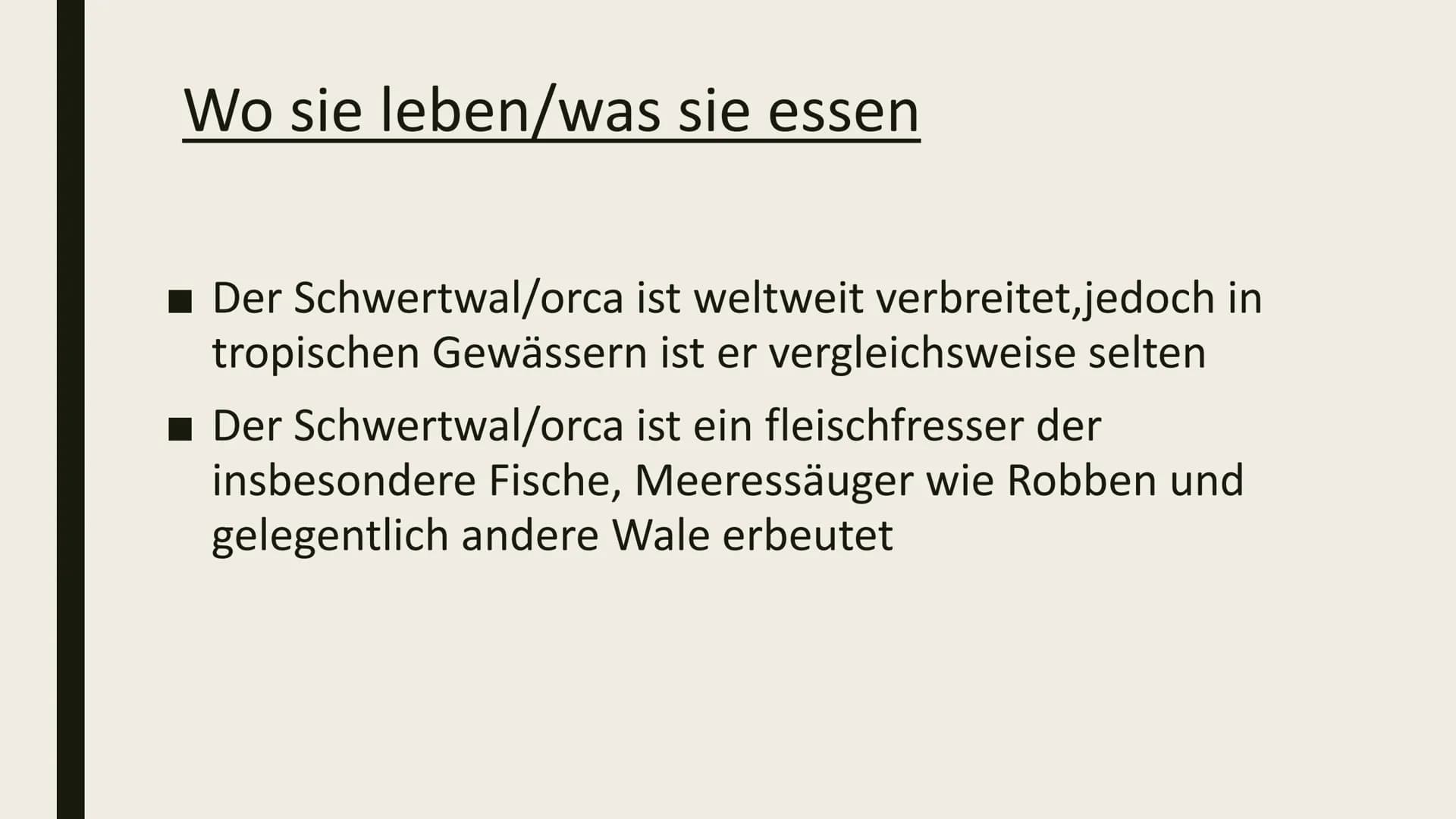 DIE ORCA Inhaltsverzeichnis
■ Gewicht/länge
Feinde
■Wie laut sie sind/wie tief sie tauchen
■ Wo sie leben/was sie essen
■ Schwangerschaft Ge