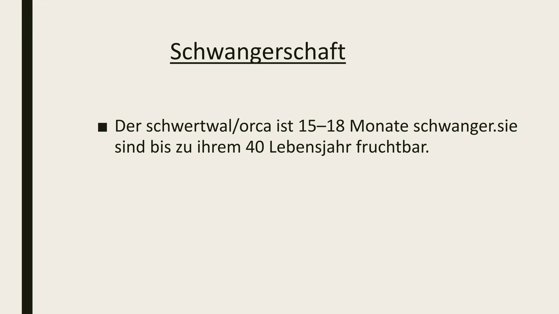DIE ORCA Inhaltsverzeichnis
■ Gewicht/länge
Feinde
■Wie laut sie sind/wie tief sie tauchen
■ Wo sie leben/was sie essen
■ Schwangerschaft Ge