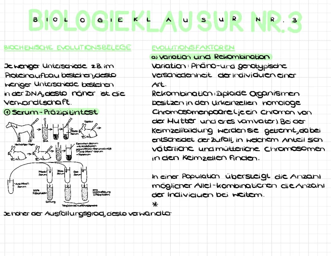 synthetische Evolutionstheorie, Humanevolution + genetischer Fingerabdruck