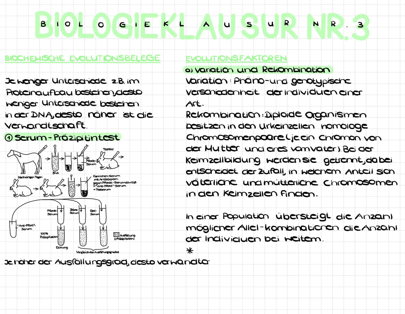 BIOCHEMISCHE EVOLUTIONSBELEGE
BIOLOGIEKLAUBUR NR.3
EVOLUTIONS FAKTOREN
a) Variation und Rekombination
Variation : Phäno-und genotypische
ver