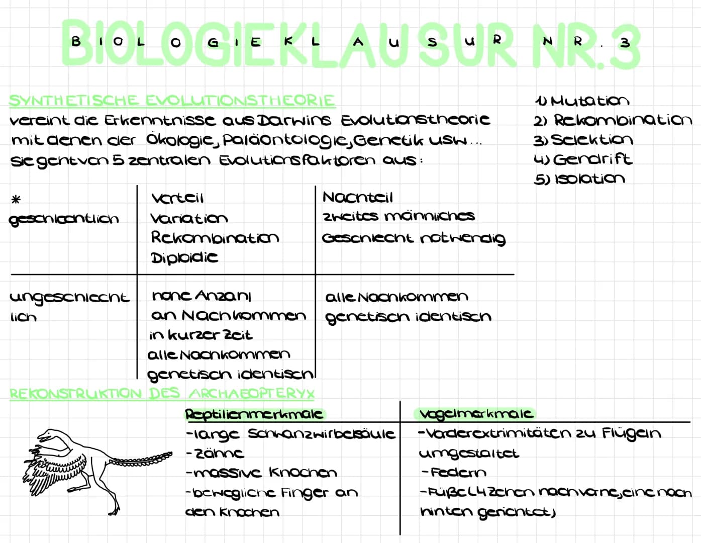 BIOCHEMISCHE EVOLUTIONSBELEGE
BIOLOGIEKLAUBUR NR.3
EVOLUTIONS FAKTOREN
a) Variation und Rekombination
Variation : Phäno-und genotypische
ver